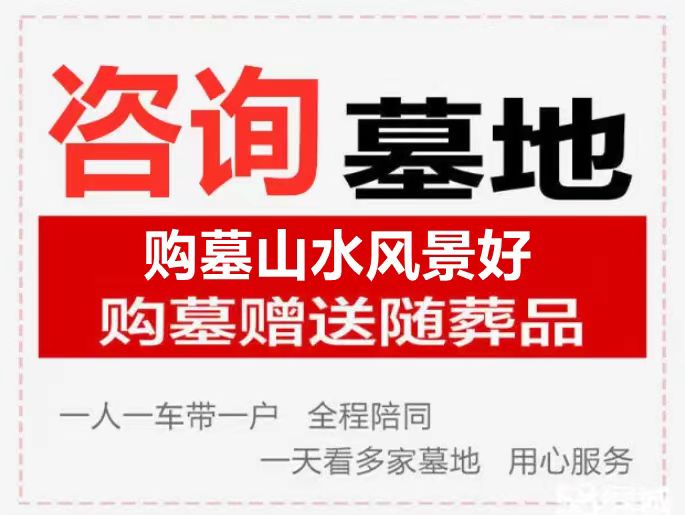 1787273120415431.jpg 微信图片_20260310170459_16_8.jpg